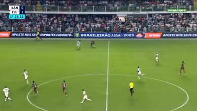 "O Fluminense vai entregar o jogo pro Santos" O Fluminense: