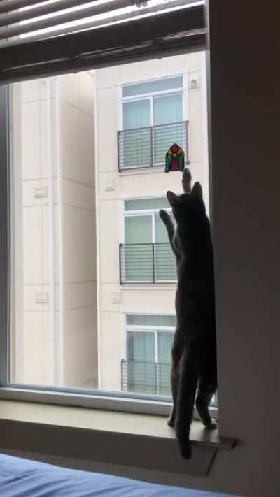 Touch Tha Stained Glass