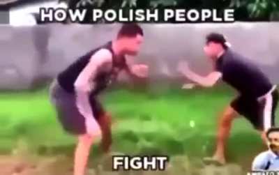 wanna fight