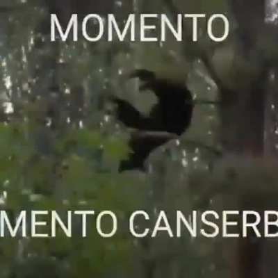 bai 😣