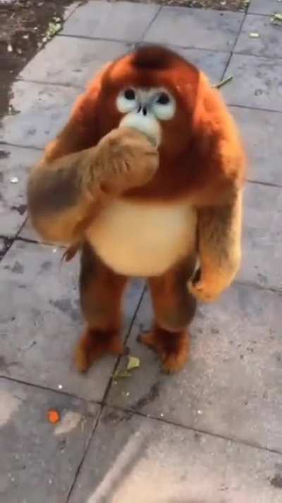 Bu ger&ccedil;ekse Hulk bile ger&ccedil;ek olabilir amk