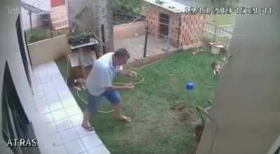 Como matar baratas no quintal? Chinelos? Não. Veneno? Claro que não. O que então? Biribinha atômica!