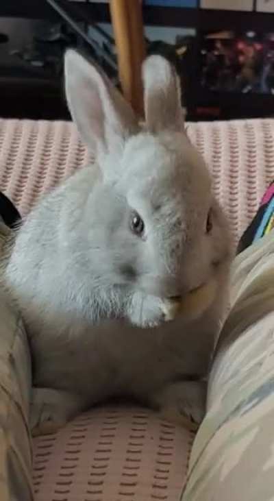 Baby Stormy