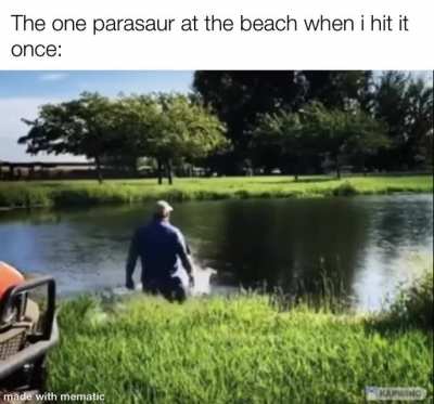 So much xp GONE