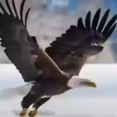 Certeza?