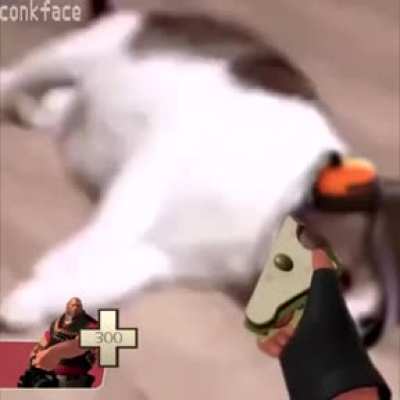 Rule