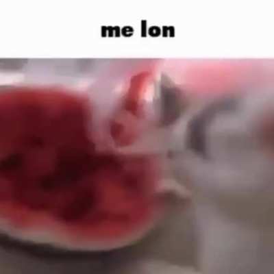 Me lon