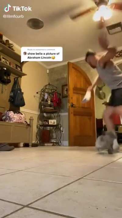 Dog barks at Abe