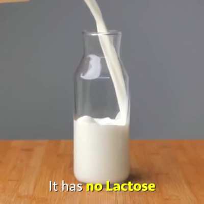 blackhumor - Video #9829