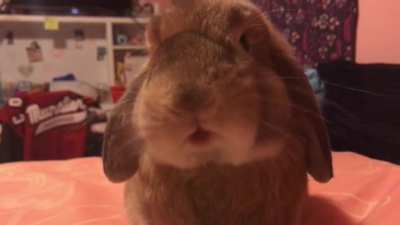 MONCH MONCH