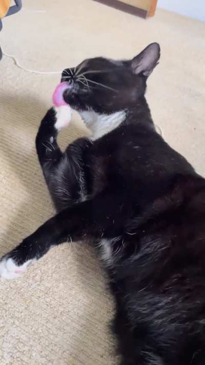 Bean muncher