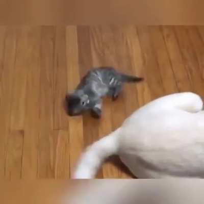 &ldquo;Weeeeeee&rdquo;