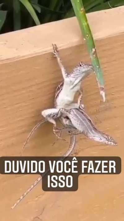 Duvido voc&ecirc; fazer isso.