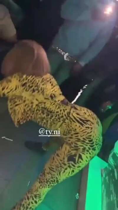 That Ass PHAT, It Ain&rsquo;t Basic.
