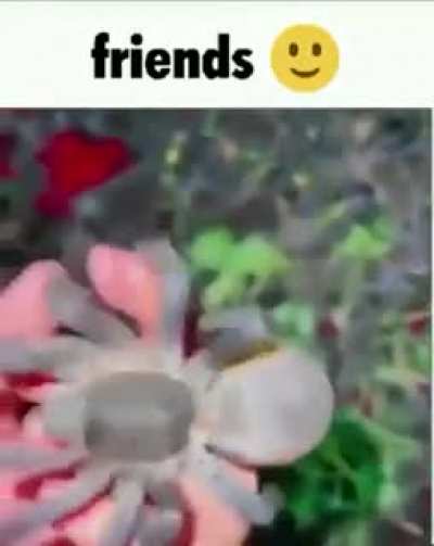 Friends :)