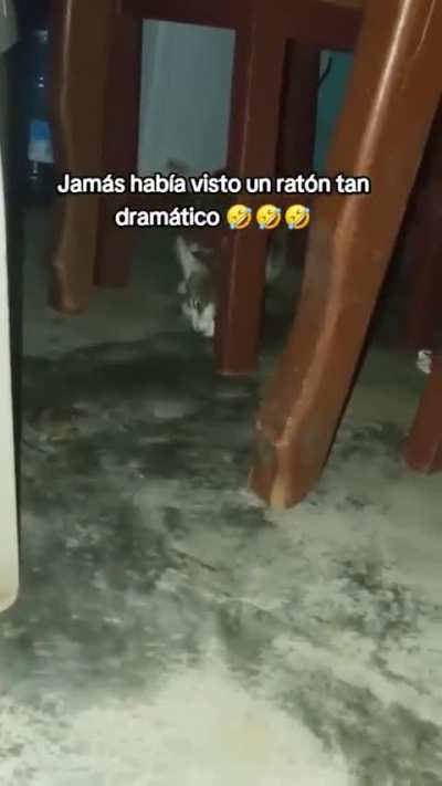 Mi terapeuta: &ndash;&iexcl;El Rat&oacute;n Chicharito no existe!

El Rat&oacute;n Chicharito: 🤣🤣