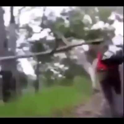 Maybe maybe maybe