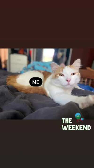 1st ever attempt at a meme, can&rsquo;t wait for this week to be over &amp;amp; my cat is cute so...
