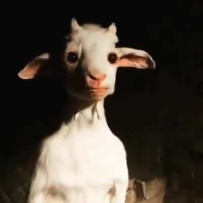 The real GOAT