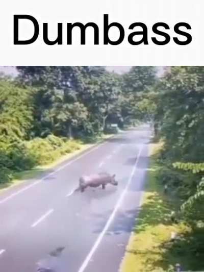 Idiot.