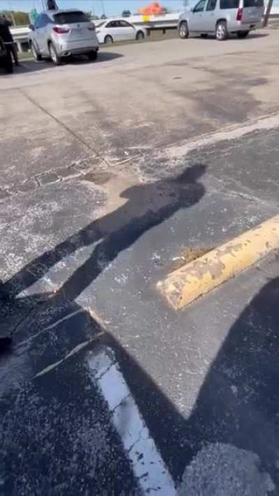 yesyesyesno