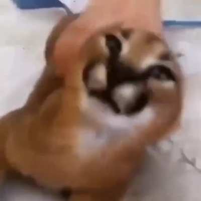 the required post title