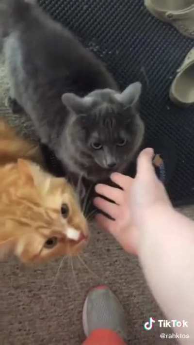 Welcome Home Cheater