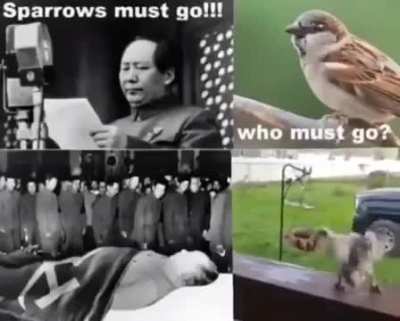 rule