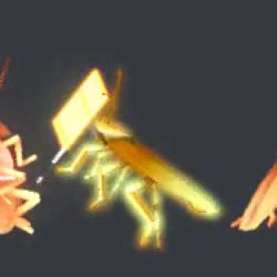 Let us not fight br&ouml;th&egrave;rs. Let us start an alliance stronger than any before. Together we are stronger