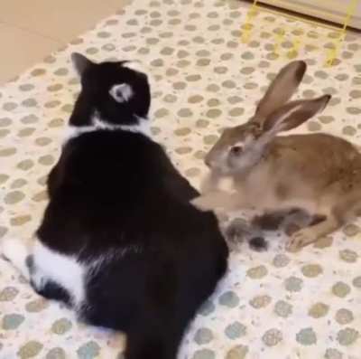 Free back massage!