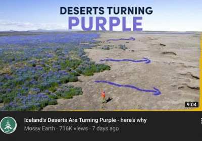 The corruption is spreading!!!