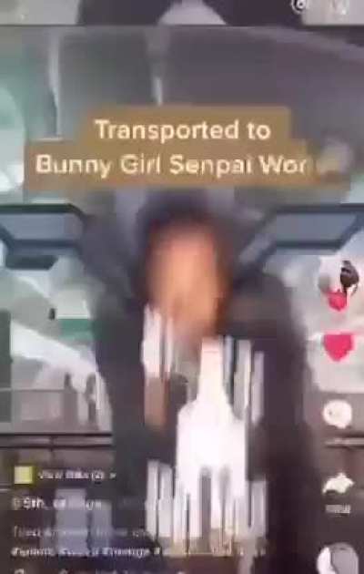 insanity v2