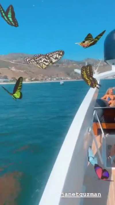 Boats N Hoes