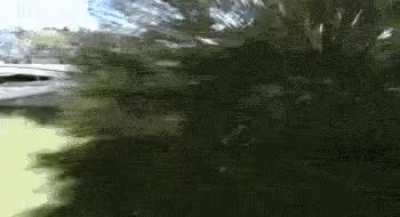 the world of parking.gif