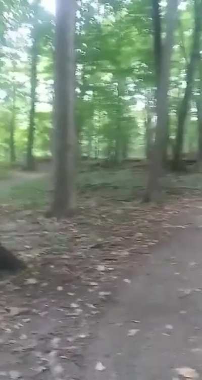 We found some plastic ramps in the woods a few years ago&hellip;