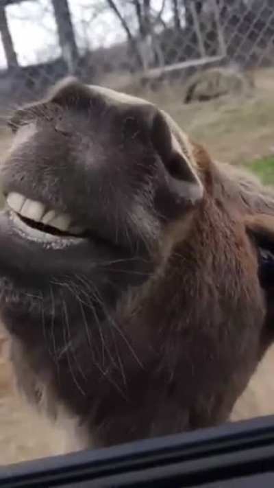 Why