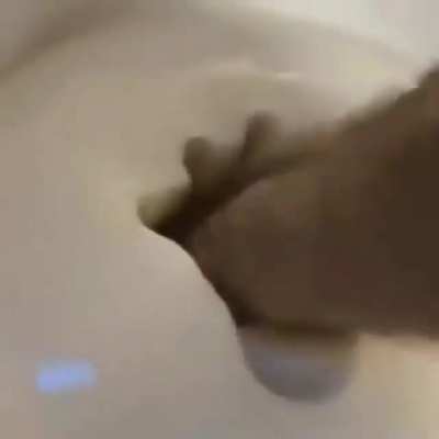 yum 🦶