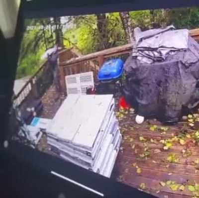 to build the perfect pile and almost set the last bag in its place.