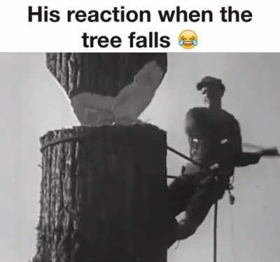 Holy shit the face he makes