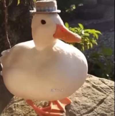 blursed and cursed