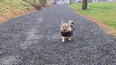 Rainy walks in my snazzy new jacket