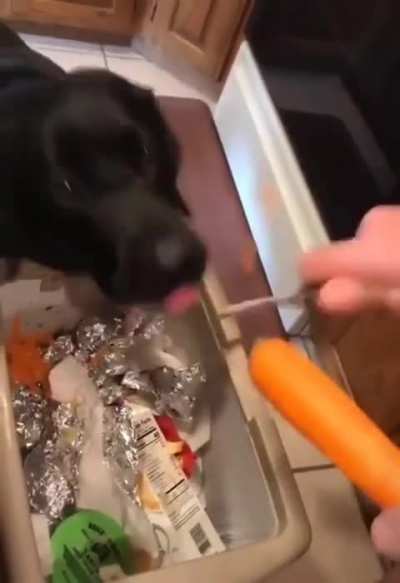 Zero waste cooking