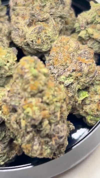 mumbo jumbo (gary payton x apples n bananas x rainbow belts 3.0)&mdash; grown by ethics farms&hellip;metallic, caramelized doughy profile&hellip;slouchy euphoric effects to match