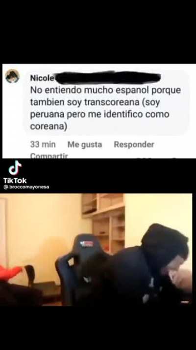 riczer 2018