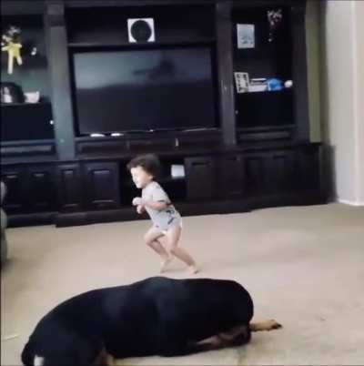 dodge