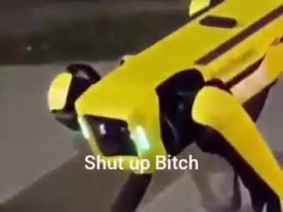 Robot basado 🥵💯💯