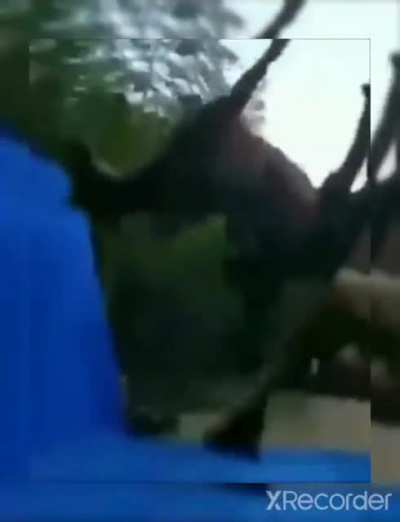 juan