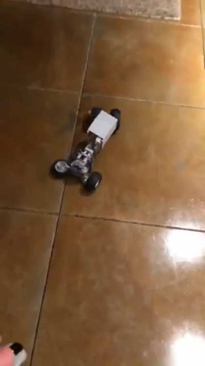 Rip in rest Lego car