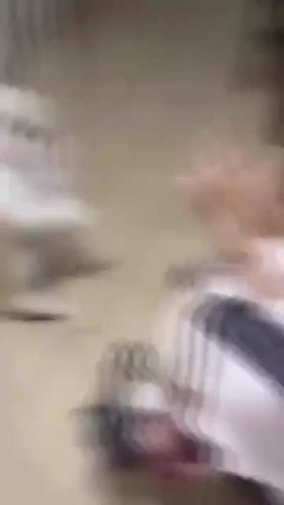 blursed grandma's dog
