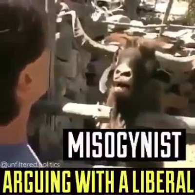 SJW KAVGA